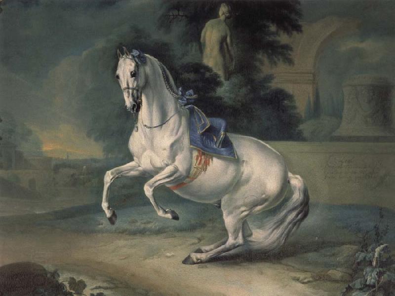 Johann Georg von Hamilton The women stallion Leal in the Levade oil painting picture